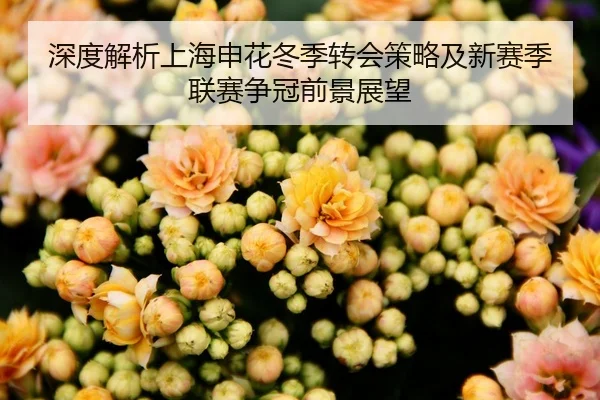 深度解析上海申花冬季转会策略及新赛季联赛争冠前景展望 - KAIYUAN GAMES